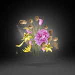 Xerjoff Opera - Eau de Parfum – Bild 3